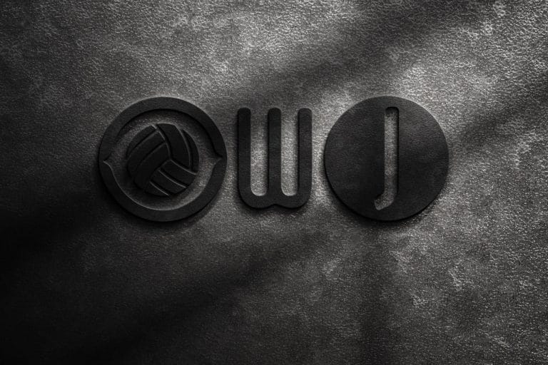لوگو برندینگ owj
